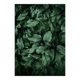 New Foliage Green Ii (Print Only) thumbnail