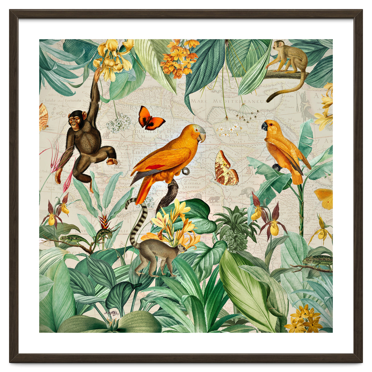 Vintage African Tropical Jungle Fun Animals