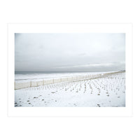 Winter grass in snow beach (Print Only)