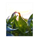 Hope With Abstraction (Print Only) thumbnail