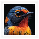 Vibrant Bird With Orange And Blue Plumage thumbnail