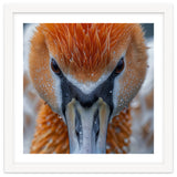 Close Up Of A Pelican's Beak With Water Droplets thumbnail