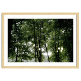 Light bulb among the trees in the summer forest thumbnail