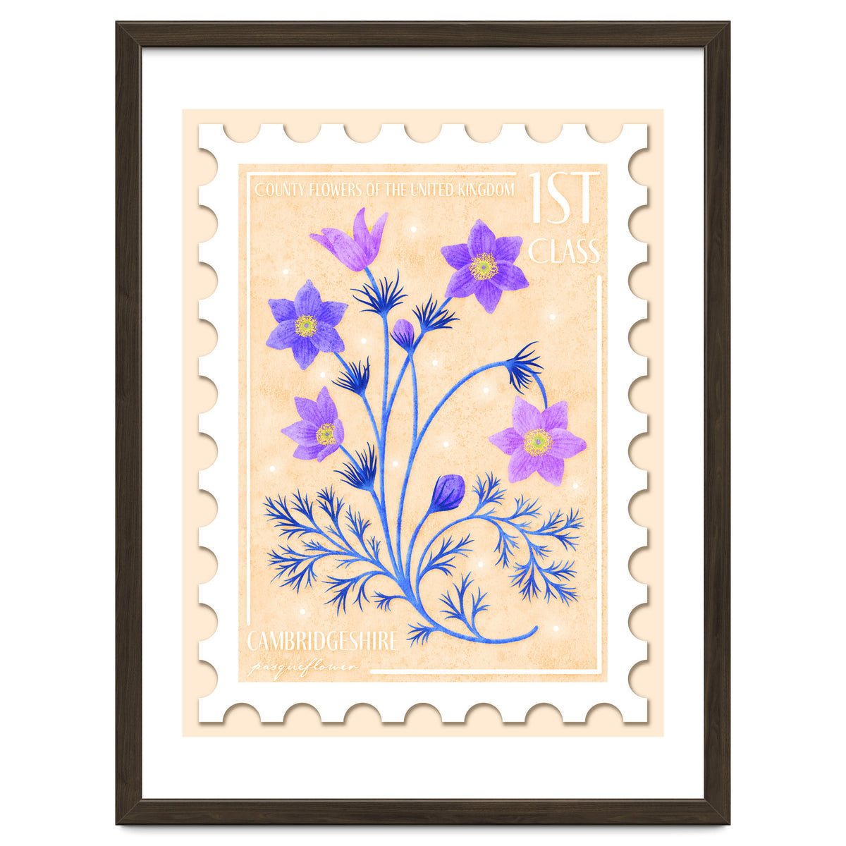 The Cambridgeshire Pasqueflower Postage Stamp