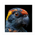 Close Up Of A Colorful Parrot Bird's Head (Print Only) thumbnail
