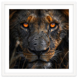 Majestic Lion Face Intense Orange Eyes Close Up thumbnail