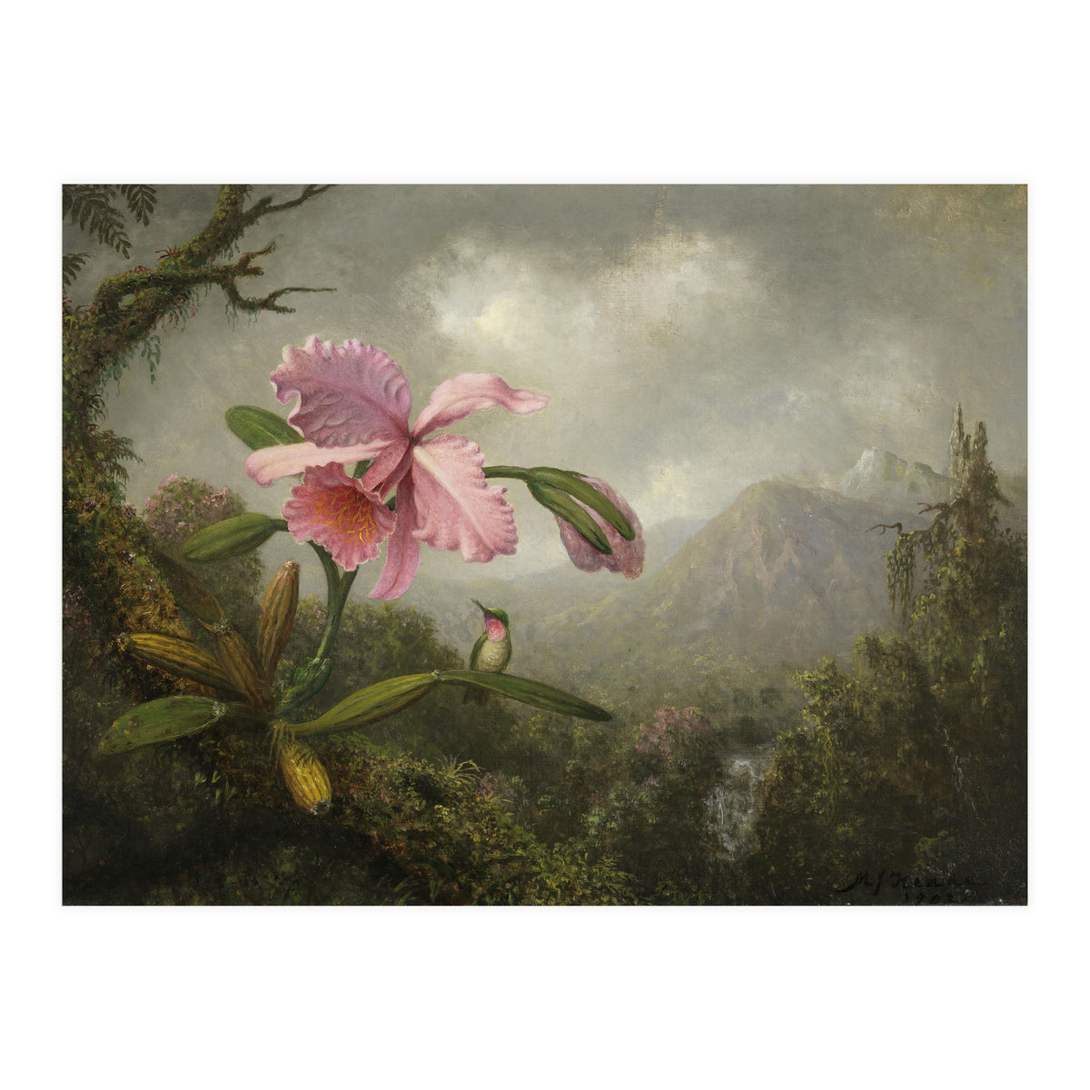 Martin Johnson Heade (Lumberville, 1819-St. Augustine, 1904). Orchid and Hummingbird near a Water... (Print Only)