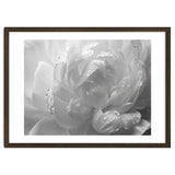 Ethereal Monochromatic Peony Petal Macro thumbnail