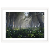 Art In The Forest thumbnail