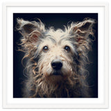 Old Dog 07 thumbnail