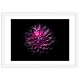 Backyard Flowers No 57 Color Version thumbnail