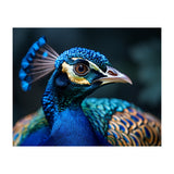 Peacock Head Close Up Majestic Blue Bird (Print Only) thumbnail