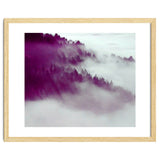 Forest Fog thumbnail