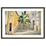 Lisbon Palm Tree thumbnail