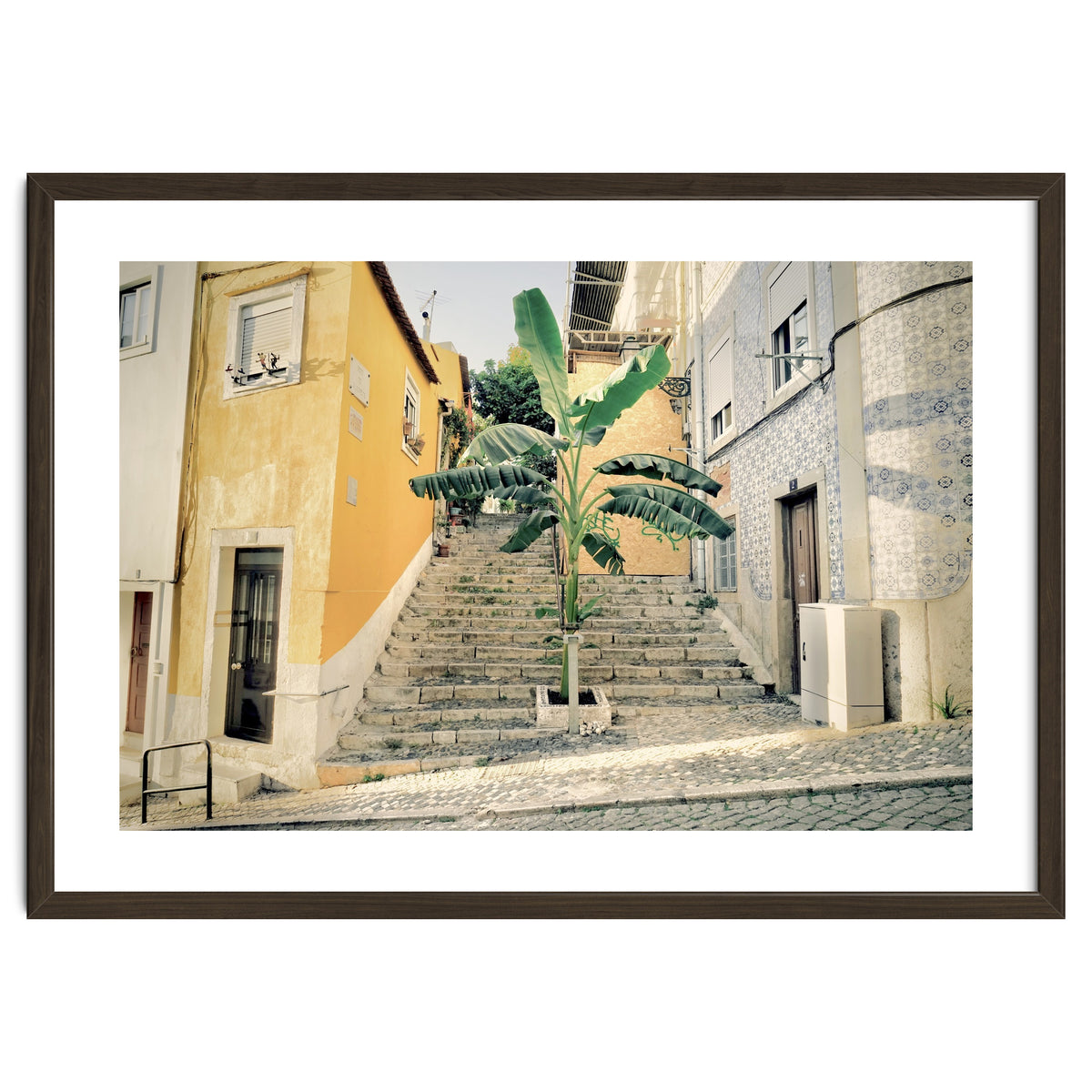 Lisbon Palm Tree