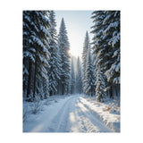 Serene Winter Wonderland Forest Road (Print Only) thumbnail