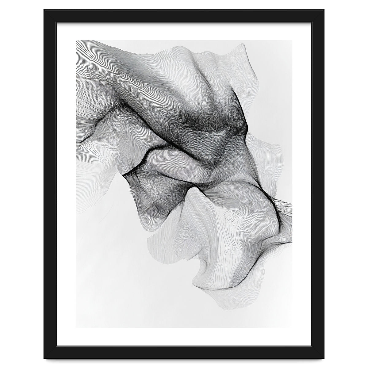 Abstract Black And White Flowing Lines Forming Organic Shapes And Forms