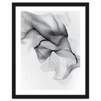 Abstract Black And White Flowing Lines Forming Organic Shapes And Forms