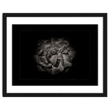 Backyard Flowers In Black And White No 81 with Border thumbnail