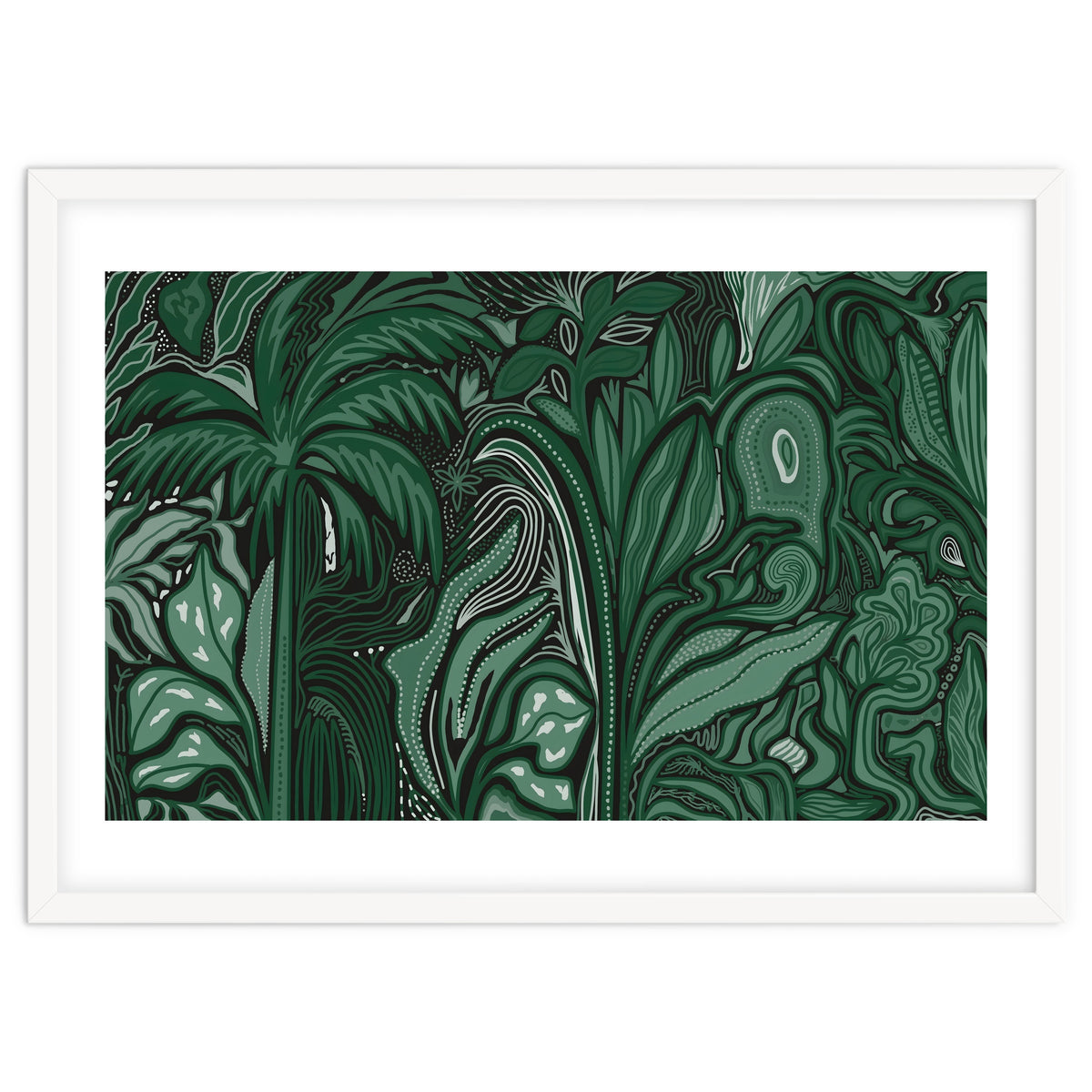 Noctiverdis magnifolia arcana tropical green