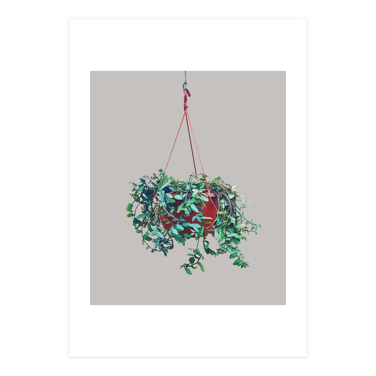 Hanging Plant (Print Only)