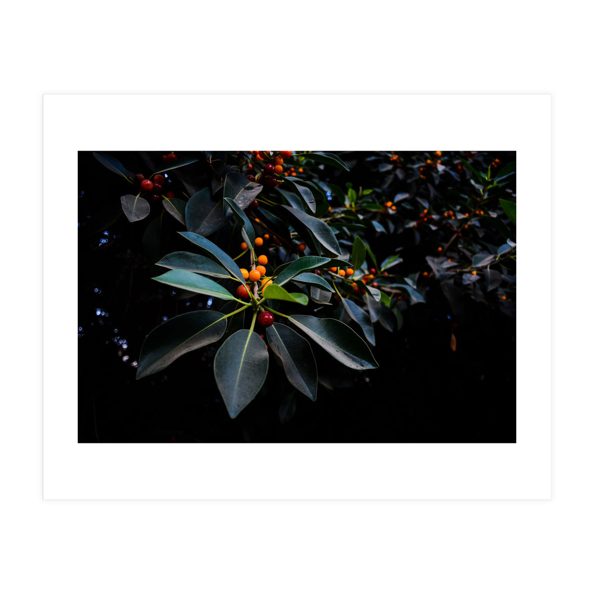 Orange, Green and Dark (Print Only)