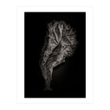 Leaves No 9 (Print Only) thumbnail