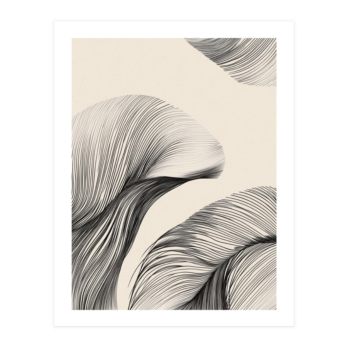 Black And White Flowing Lines Organic Shapes  (Print Only)