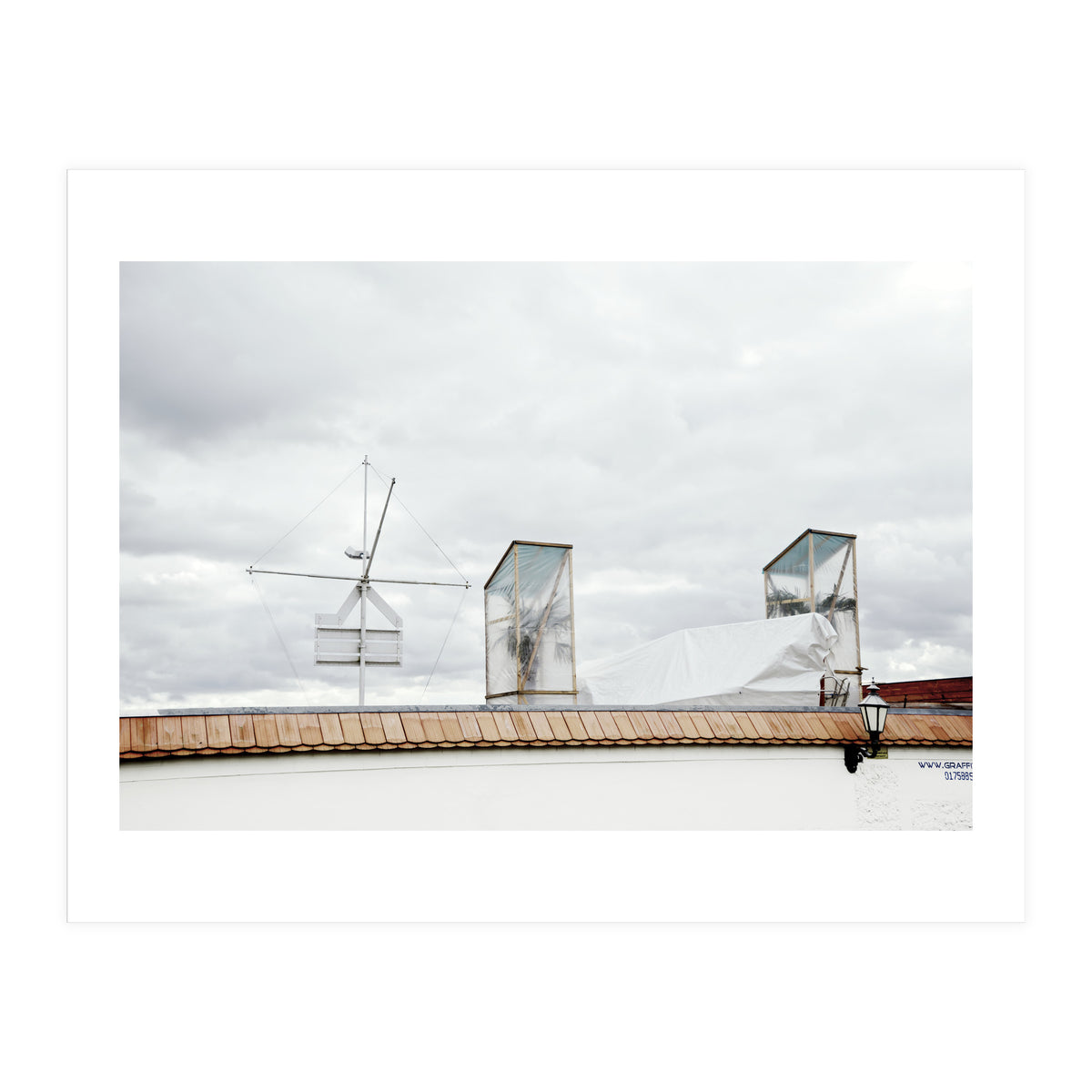 Palm tree waiting for summer (Print Only)