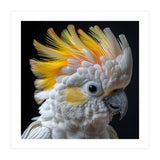 Close Up Of A Cockatoo With Yellow Crest (Print Only) thumbnail