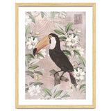 Exotic Bird Toucan thumbnail