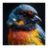 Close Up Of A Colorful Bird In The Wild (Print Only) thumbnail