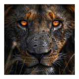 Majestic Lion Face Intense Orange Eyes Close Up (Print Only) thumbnail