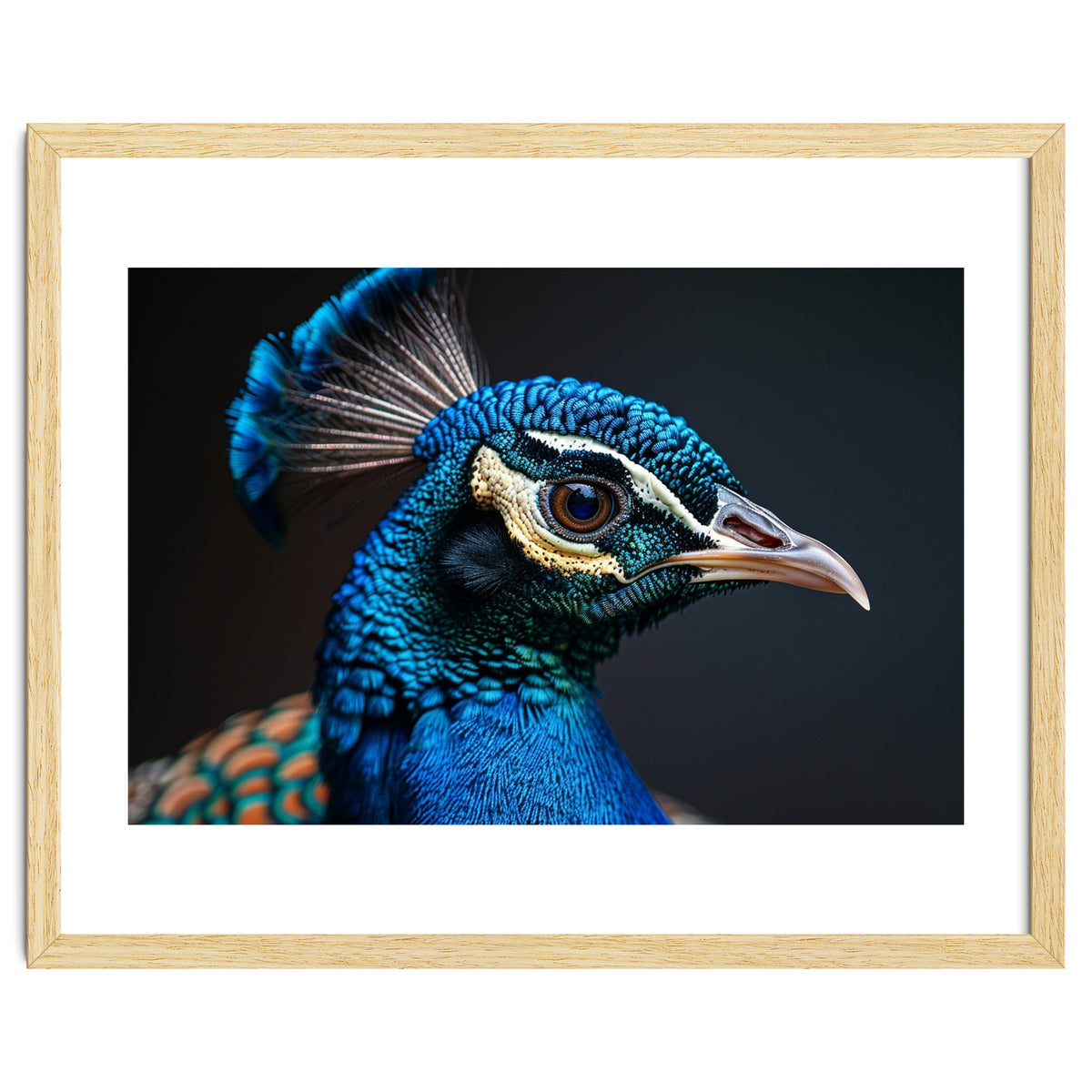 Close Up Peacock Head Blue Green Feather