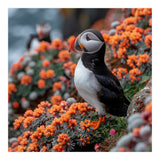 Atlantic Puffin Bird Perched On Orange Flowers (Print Only) thumbnail