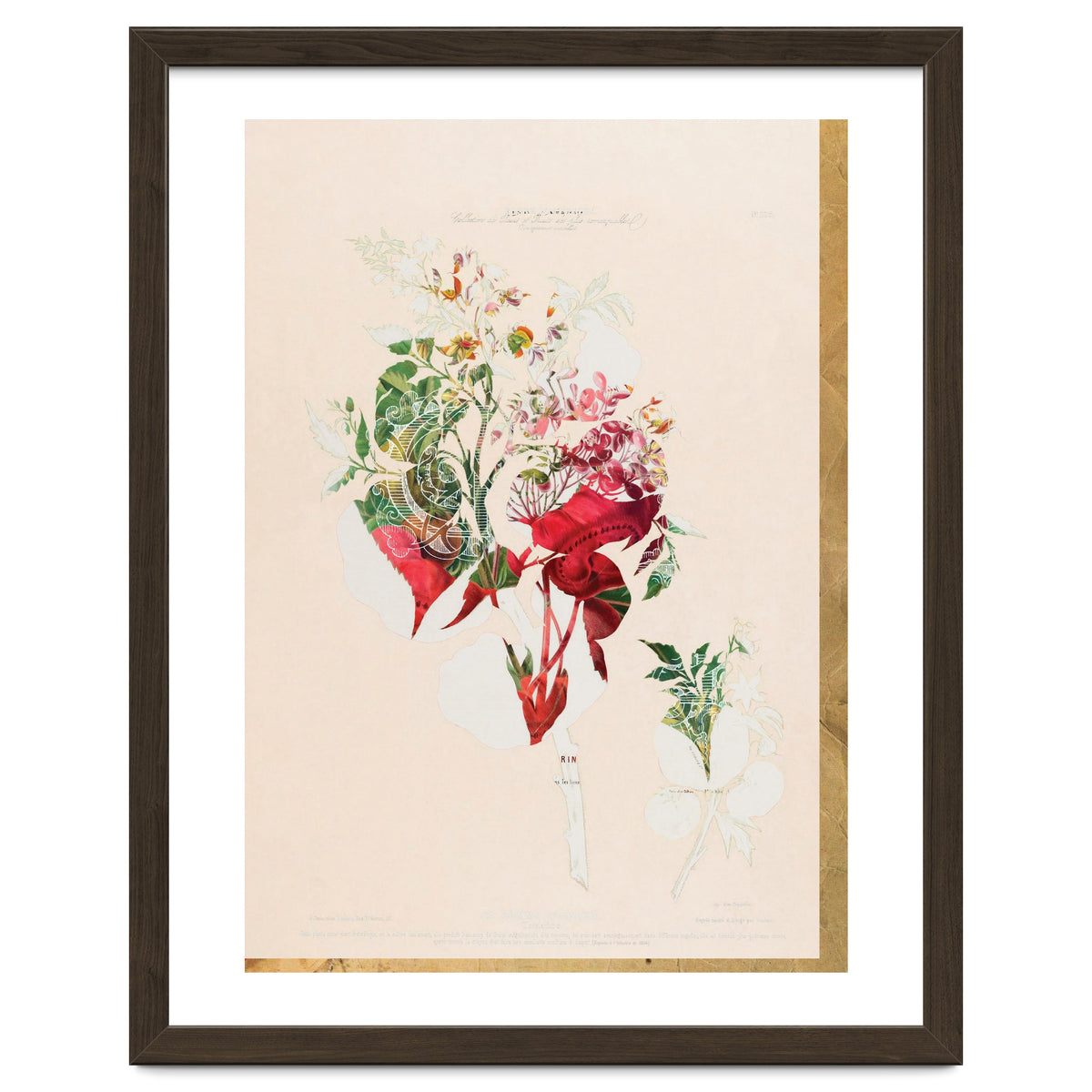 The First Plant · Aufbluehen