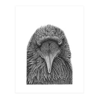 Muninn (Print Only)