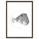 The Fascinating Cuttlefish thumbnail