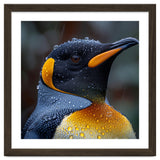 King Penguin Standing In Rain With Water Drops Nature Photography thumbnail