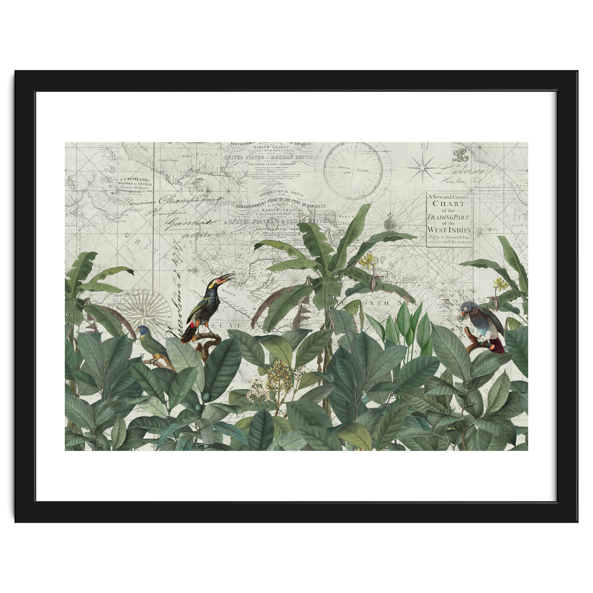 Explore The New World