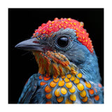 Close Up Of Colorful Bird With Water Droplets (Print Only) thumbnail