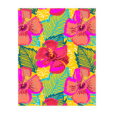 Hiba (Print Only) thumbnail