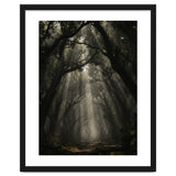 Enchanted Canopy: Mystical Forest Path thumbnail