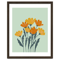 Orange and Yellow Flowers