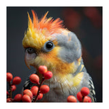 Close Up Of A Cockatiel Parrot With Orange Crest (Print Only) thumbnail
