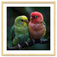 Two Lovebirds Sitting Together On A Branch