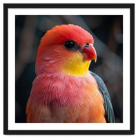 Vibrant Tropical Bird