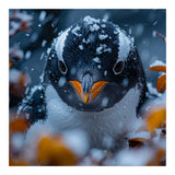 Close Up Of A Gentoo Penguin In The Snow (Print Only) thumbnail
