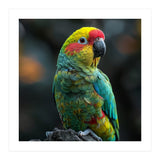 Vibrant Amazon Parrot Perched On A Branch (Print Only) thumbnail