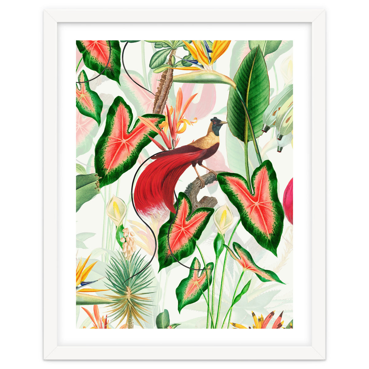 Vintage Bird Of Paradise in Jungle